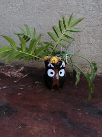 Flower pot owl.